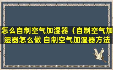 怎么自制空气加湿器（自制空气加湿器怎么做 自制空气加湿器方法）